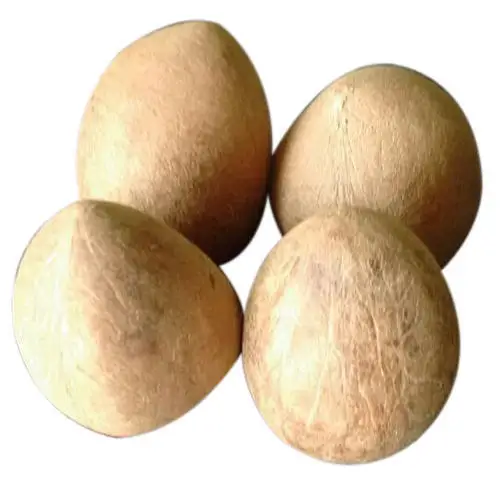 Best Quality Copra Ball Dry Fruit For Eating At Wholesale Price