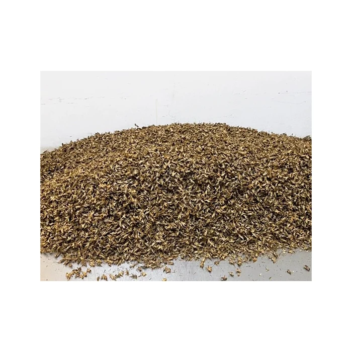 Yummy высокое качество, лучший продавец, порошок для крикета, безопасный и гигиеничный продукт из Таиланда