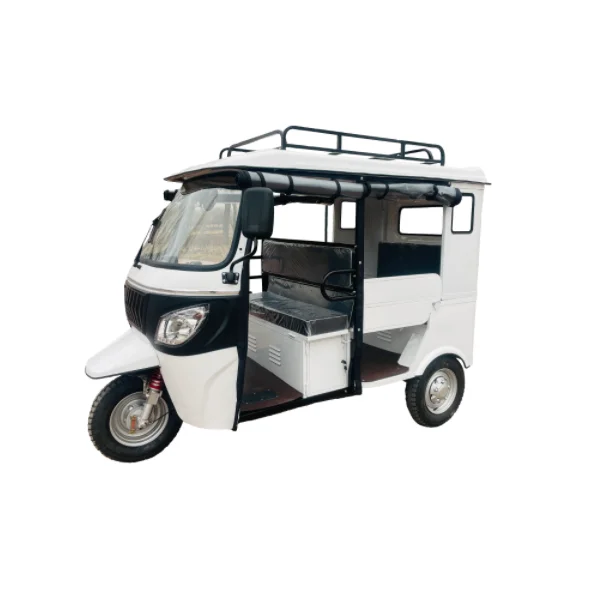 2024 hot electric tuk tuk/electric passenger taxi/with 60V3000W motor