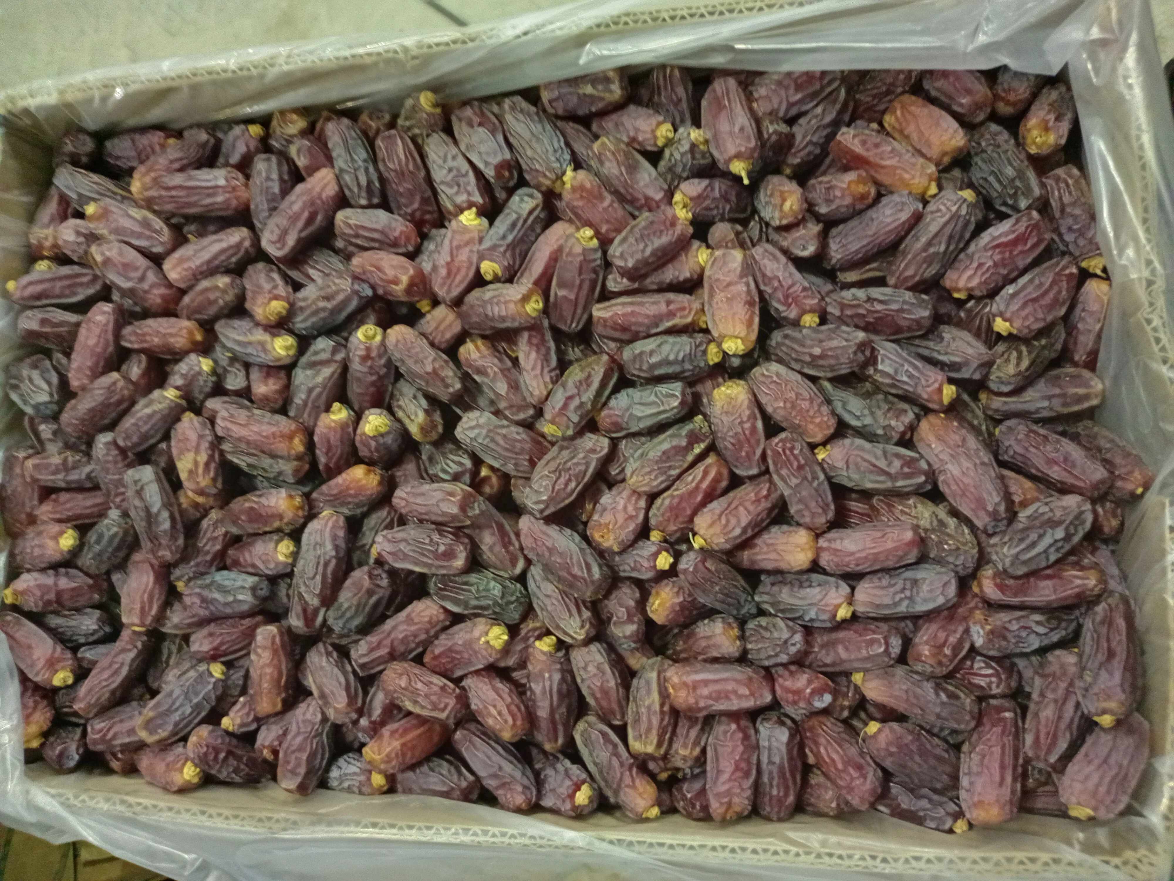 Yezao Top supplier of dates to global market Mabroom dates Saudi Dates available 5 kg packing and 24 kg packing box Ye zao