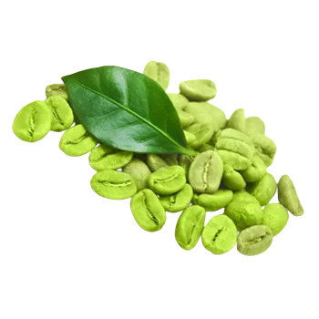 Hot Sell 2022 Fully Organic Green Coffee Bean Extract Chlorogenic Acid 50% For Weight Loss Uses Wholesale Prices