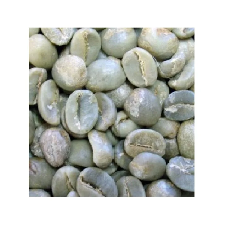 Export High Quality Arabica Green Coffee Beans