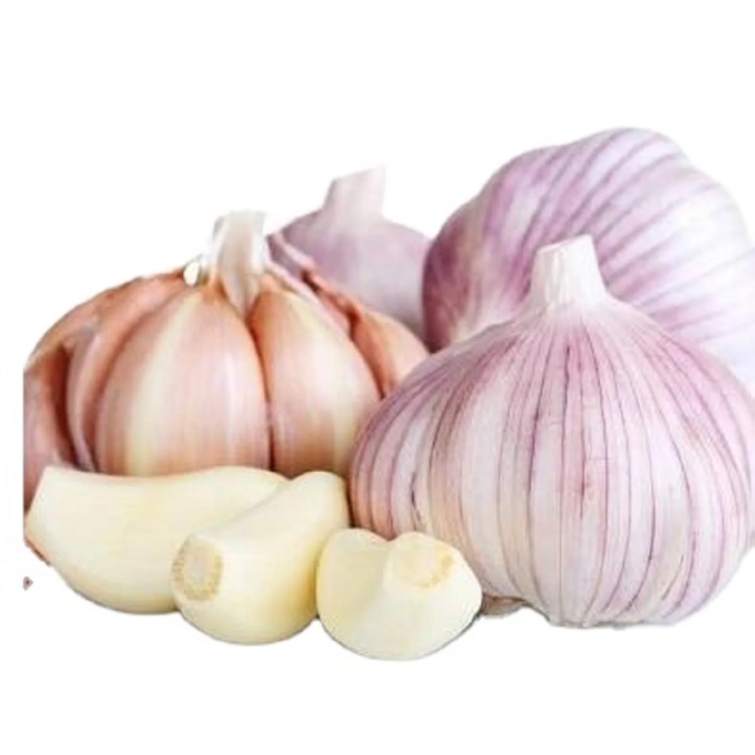 garlic price per ton fresh garlic new crop garlic wholesale