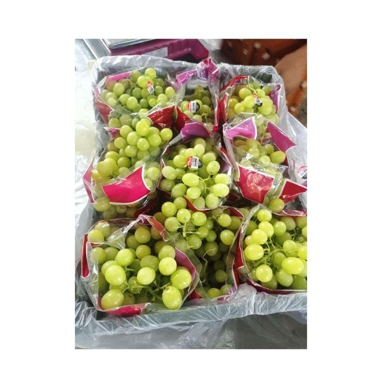 Standard Quality Delicious and Sweet Taste Fresh Green Grapes Crimson Seedless Fresh Fruit Grape from Egypt