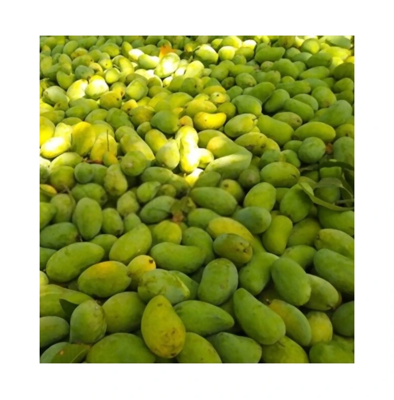 Wholesale 100% Natural Fresh Organic Mango From Vietnam Ready to Export Premium Grade of Fresh Mango Sweet Taste