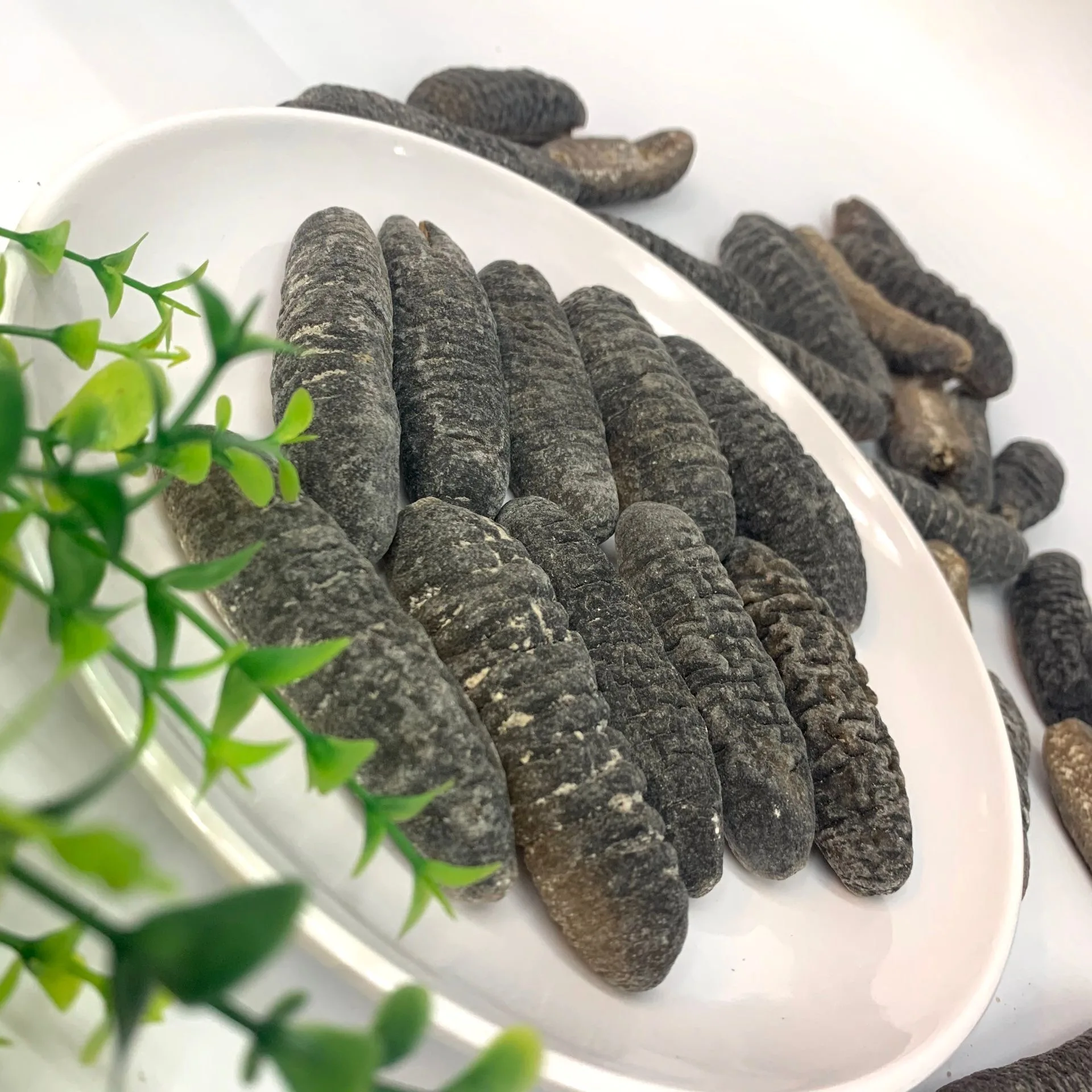 sea cucumber powder Freeze Dried Trepang Powder sea cucumber extract
