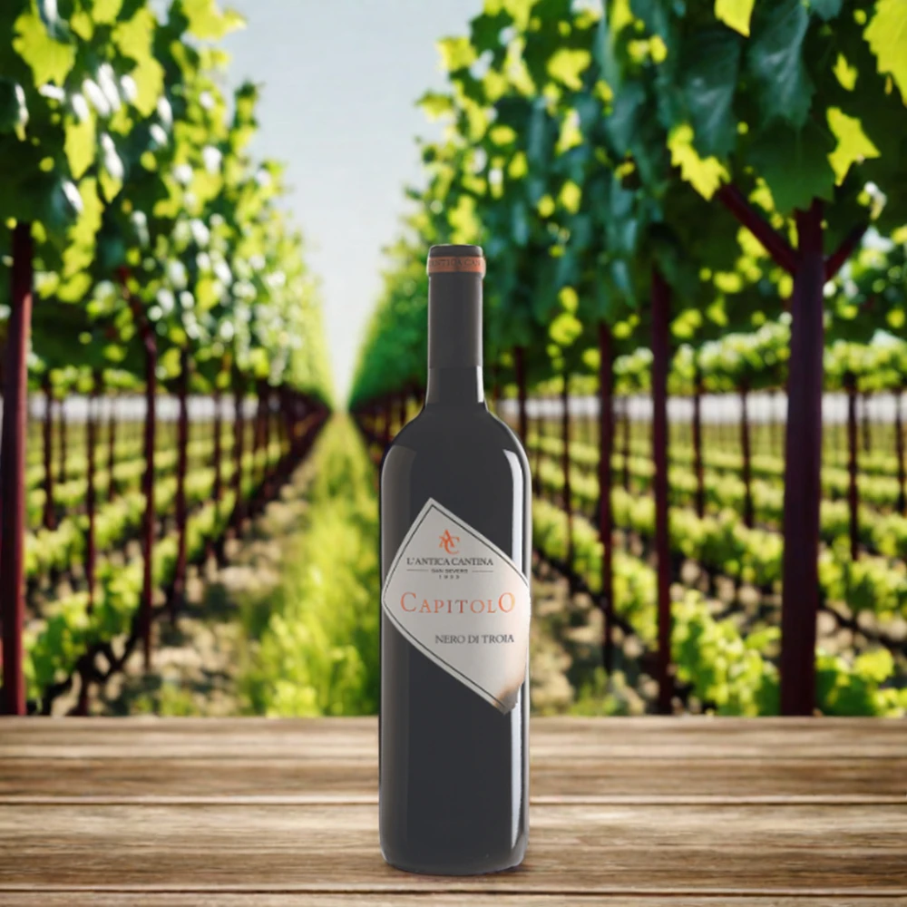 Итальянское красное вино Nero Di Troia IGP сухое вкусное столовое упакованное в коробку и бутылку сделано Италии