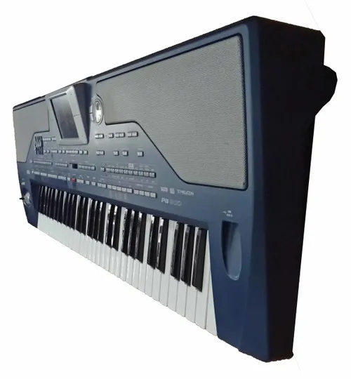 Brand New Amazing KorgS PA800 61-Key Professional Arranger Keyboard Worldwide fast delivery