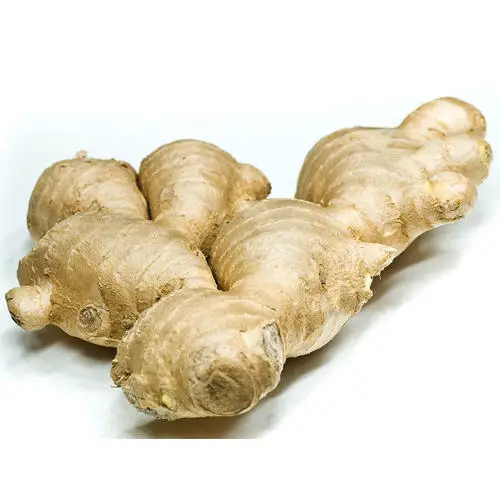 yellow fresh kept ginger/air dry ginger available on wholesale prices.