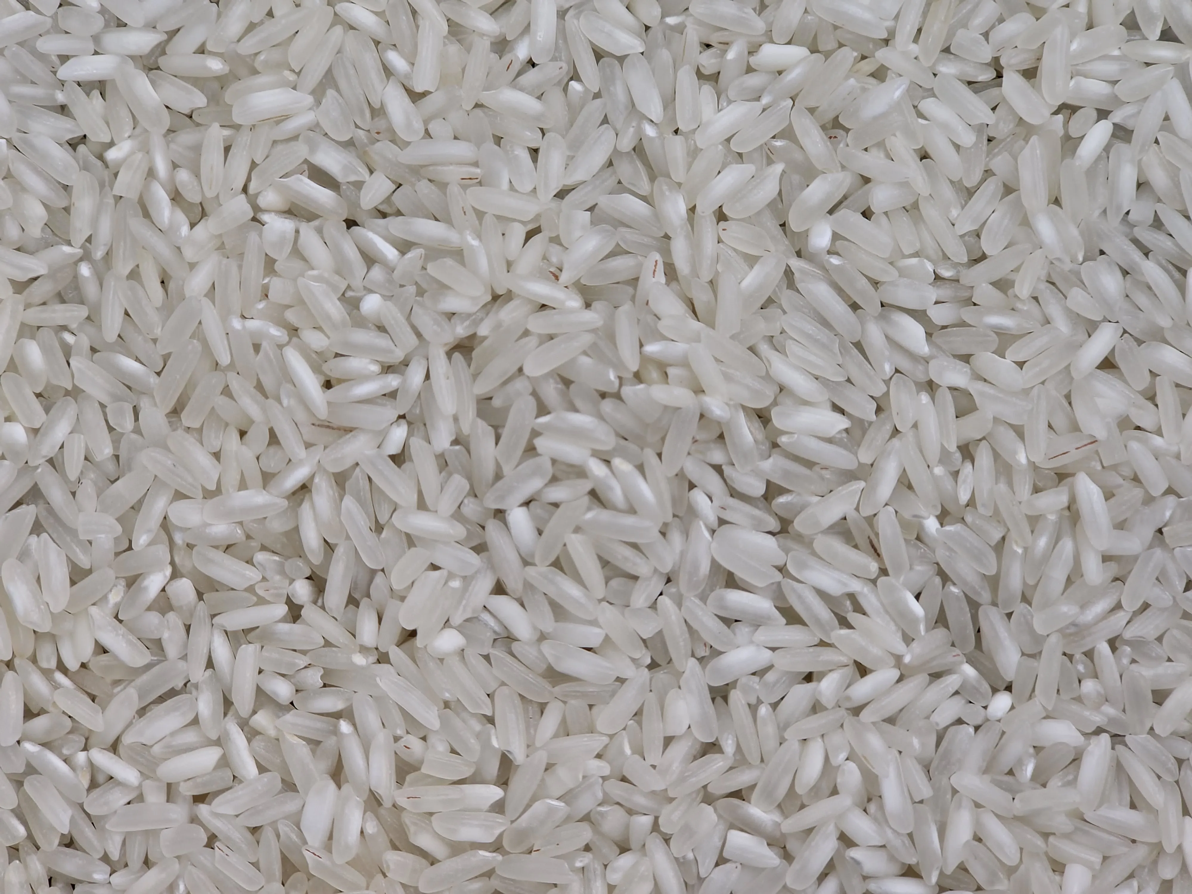 Top-Grade 504 Long Grain Parboiled White Rice from Vietnam Dried Hard Texture SafeAgri