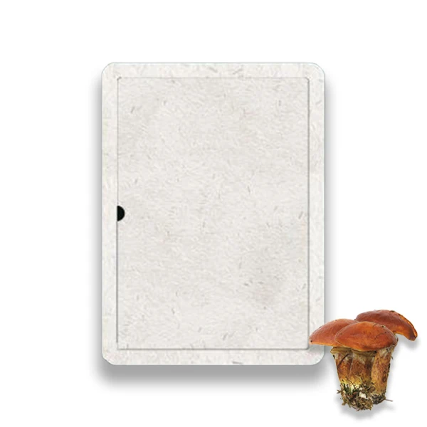 Custom Wholesale Compostable Square Round Mushroom Mycelium Packaging Fungi Mushroom Cushioning Packaging