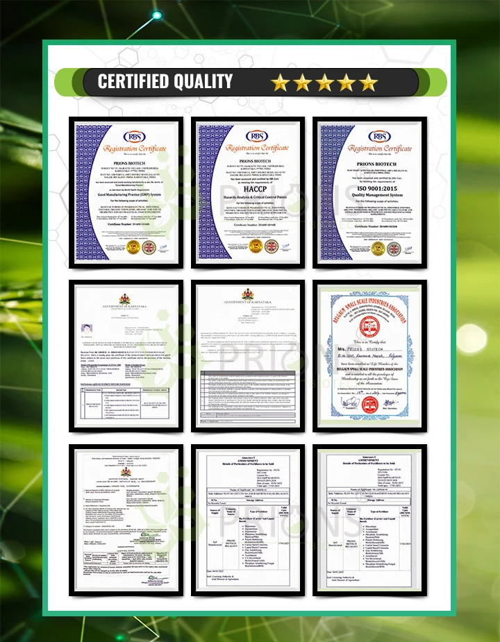 100% Efficacy Immediate Release Type Aquaculture Probiotics Gut Booster - PR for Agriculture Crops