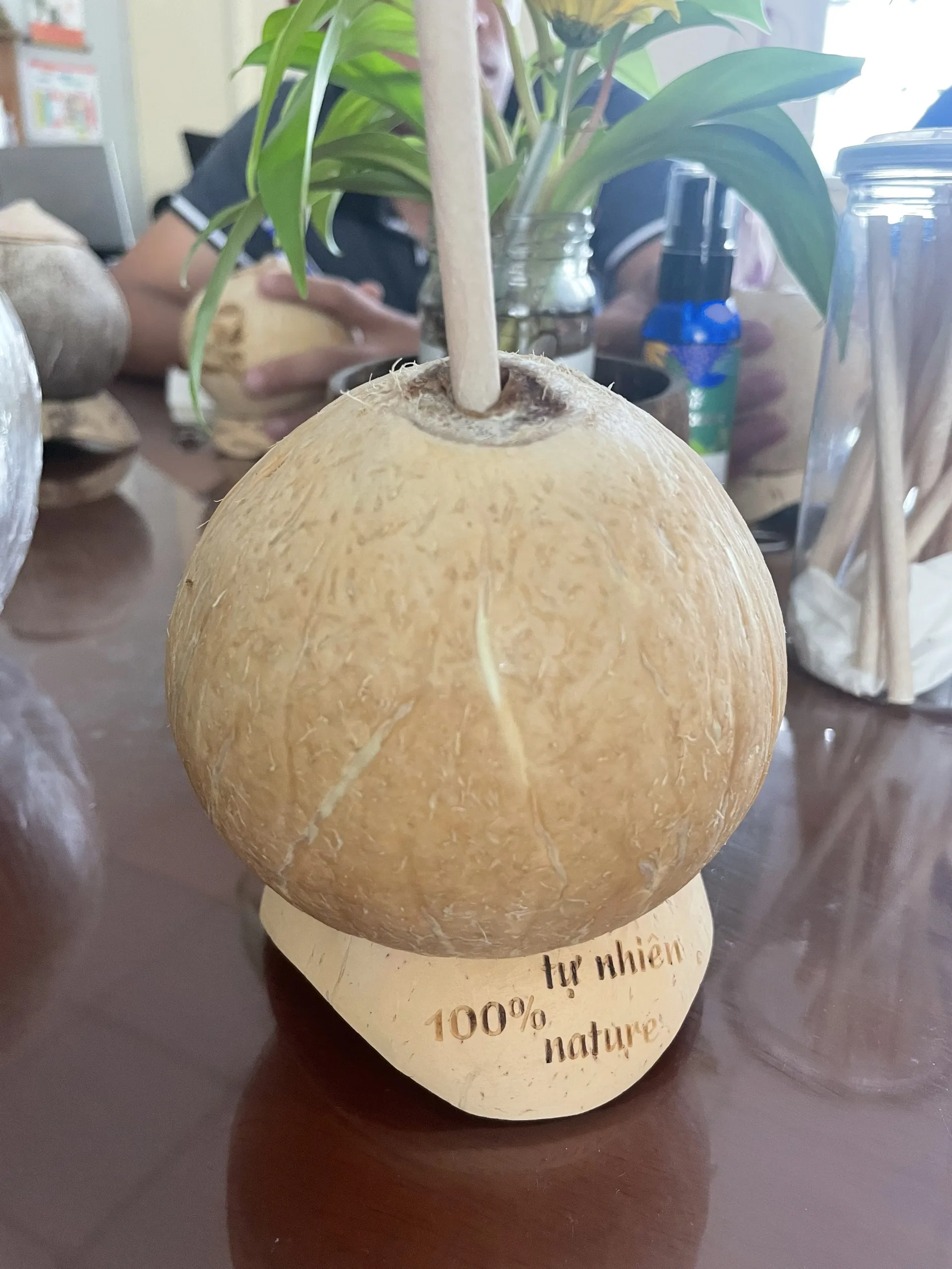 Good price Export Purchase Organic Farm Carton Packaging Polished Shape Coconut Pulp Good price Export Purchase Organic Farm