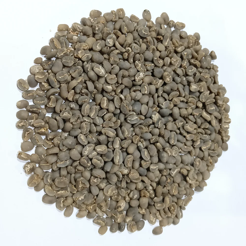 Premium Lintong Sumatra Green Arabica Coffee Beans Highlighting Exquisite Flavors and Freshness Grade 1 Coffee Beans