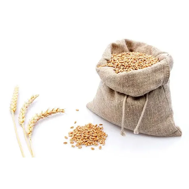 Самая продаваемая индийская зерновая Пшеница для производства муки от индийского экспортера по оптовым