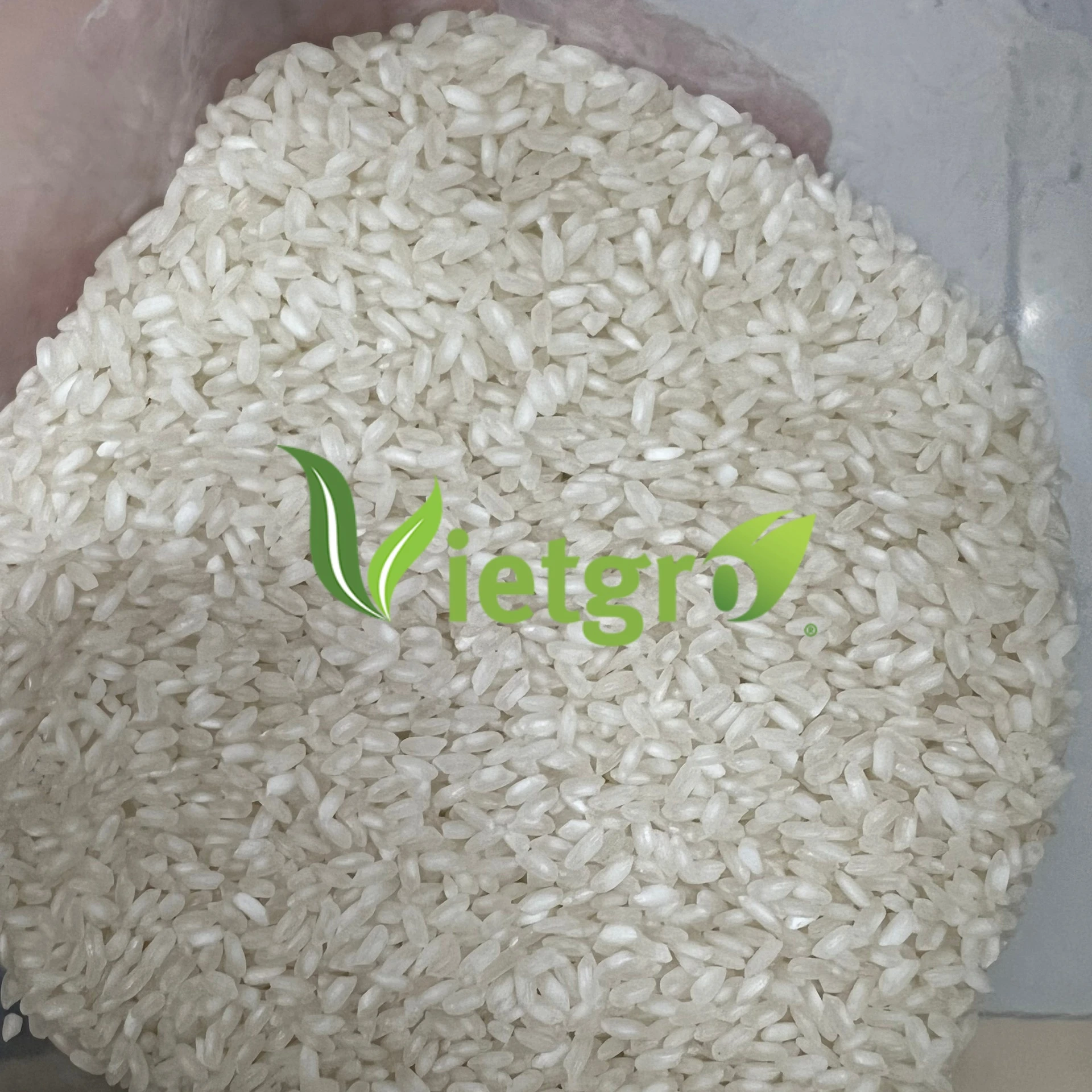 Ham Chau Medium Rice - High Quality Product  from Vietnam. Best rice in the world