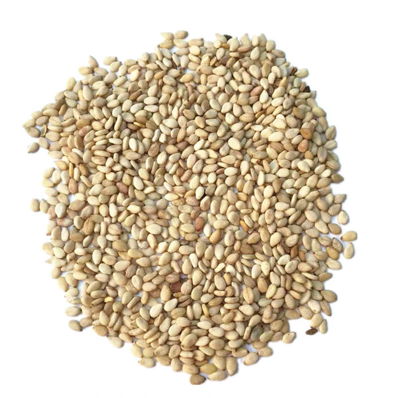 Wholesale Cheap Price Unhulled Sesame Seeds Nature Black Wholesale Sesame Seeds Hot Selling Sesame Seed Reasonable Price