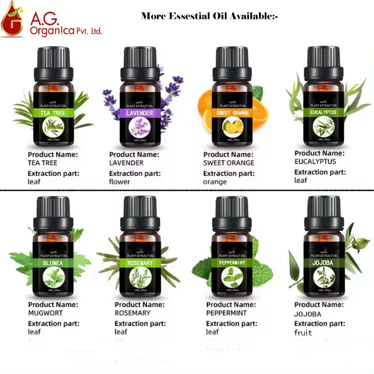 Bulk Manufacturer Vanilla Essential Oil for Skin Care Pure & Natural Extract Vanilla Planifolia Diffuser Therapeutic Grade Oil