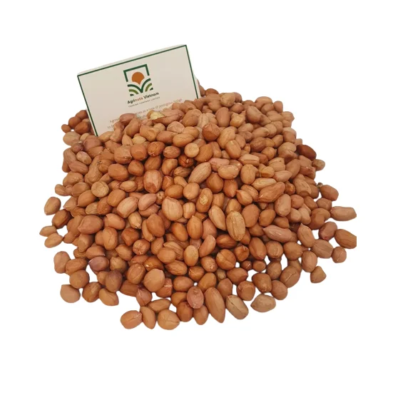 Peanuts Vietnam Grade No1 7mm Food Nuts Snacks Coated Roasted Sale PE Bag Big Size International quality