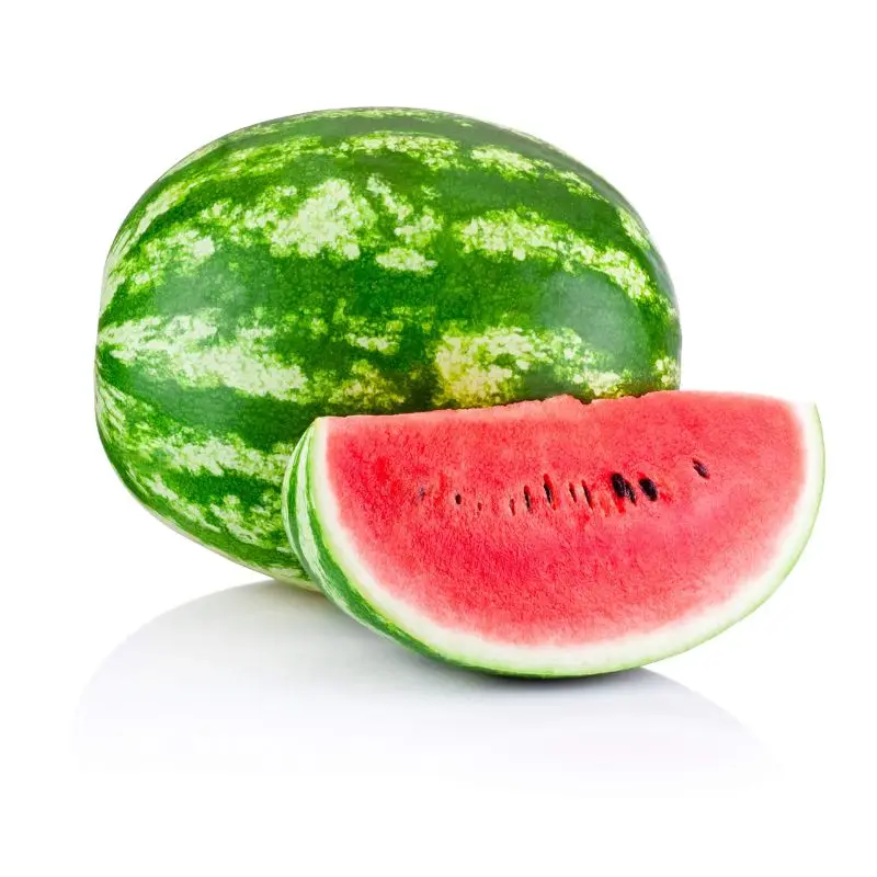 High purity for watermelon crimson sweet Good Germination Variety big Size Watermelon at Good price for export