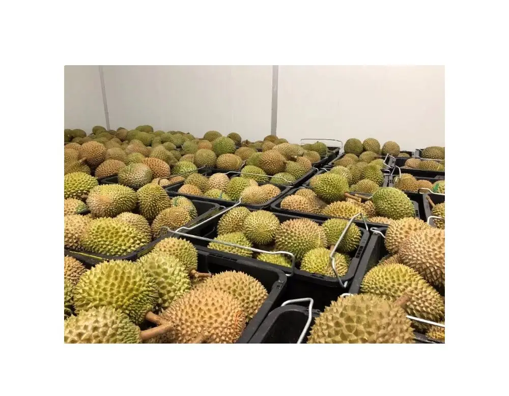Лидер продаж в Малайзии, желтая замороженная Толстая паста Musang King Durian, вес 2 кг, в вакуумной упаковке, сладкий и кремовый в блоке