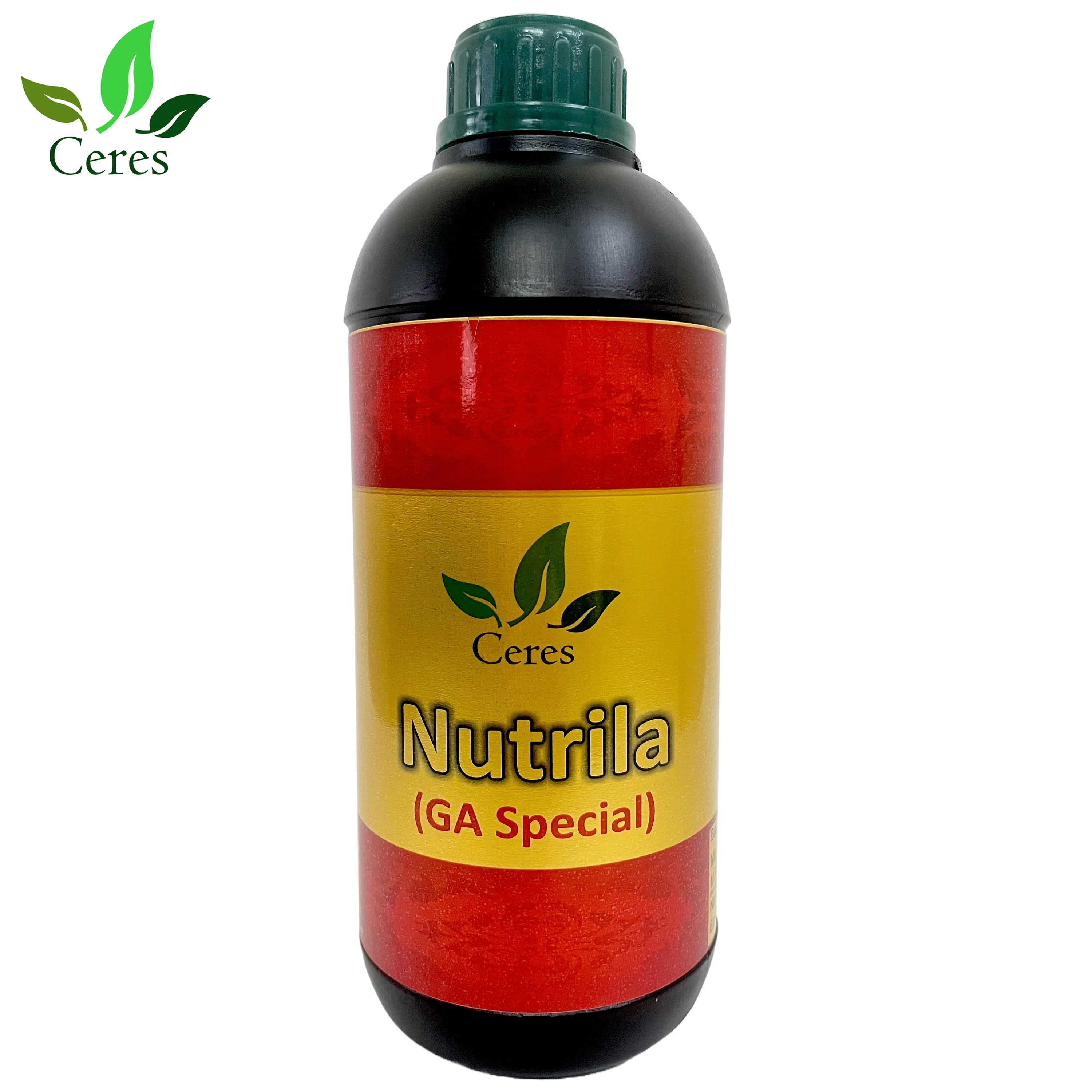 GA Special 1 copy.jpg