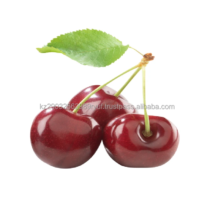 Полезные свойства вишневой ягоды и широко используется для подготовки: компотового сока, джема и фруктового вина