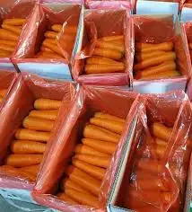 Контейнер для моркови 40