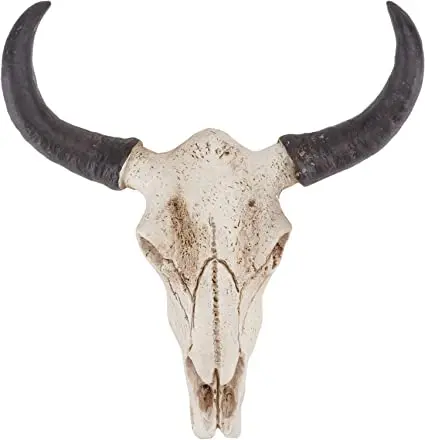 RAW OX HORN and cow horn for sale.