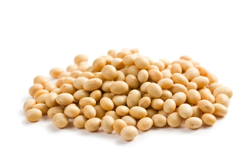 Non-gmo Organic Soybean seed Suppliers / Soya Bean price / Soybeans Brazil