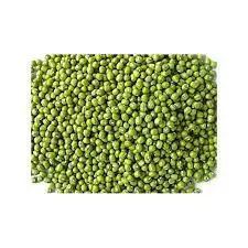 Green Mung Bean Grade  Green Mung Bean
