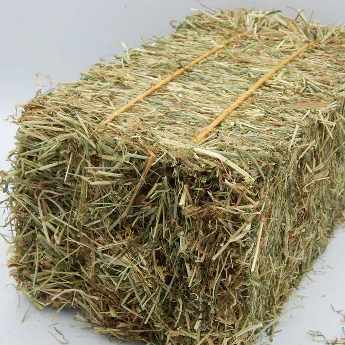 We will sell 1 bale of hay or 500 or more! We have our own 1st, 2nd and 3rd cutting timothy in stock. We sell out of it