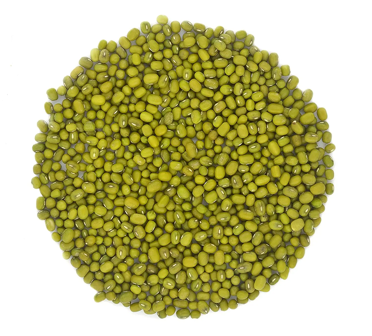 Wholesale Natural Organic High Quality Green Mung Beans Green Gram Beans Green Vigna Beans