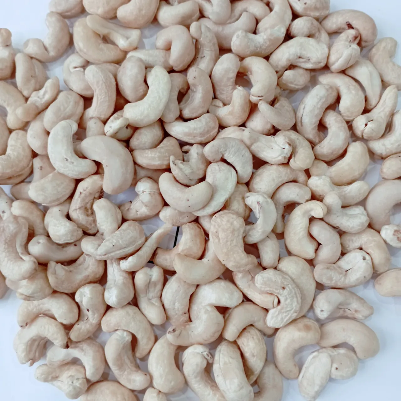 Cashew nuts WW320 High Quality Bag Style Packaging Cooking Raw Origin Vacuum Type Dried Grade Wholesale