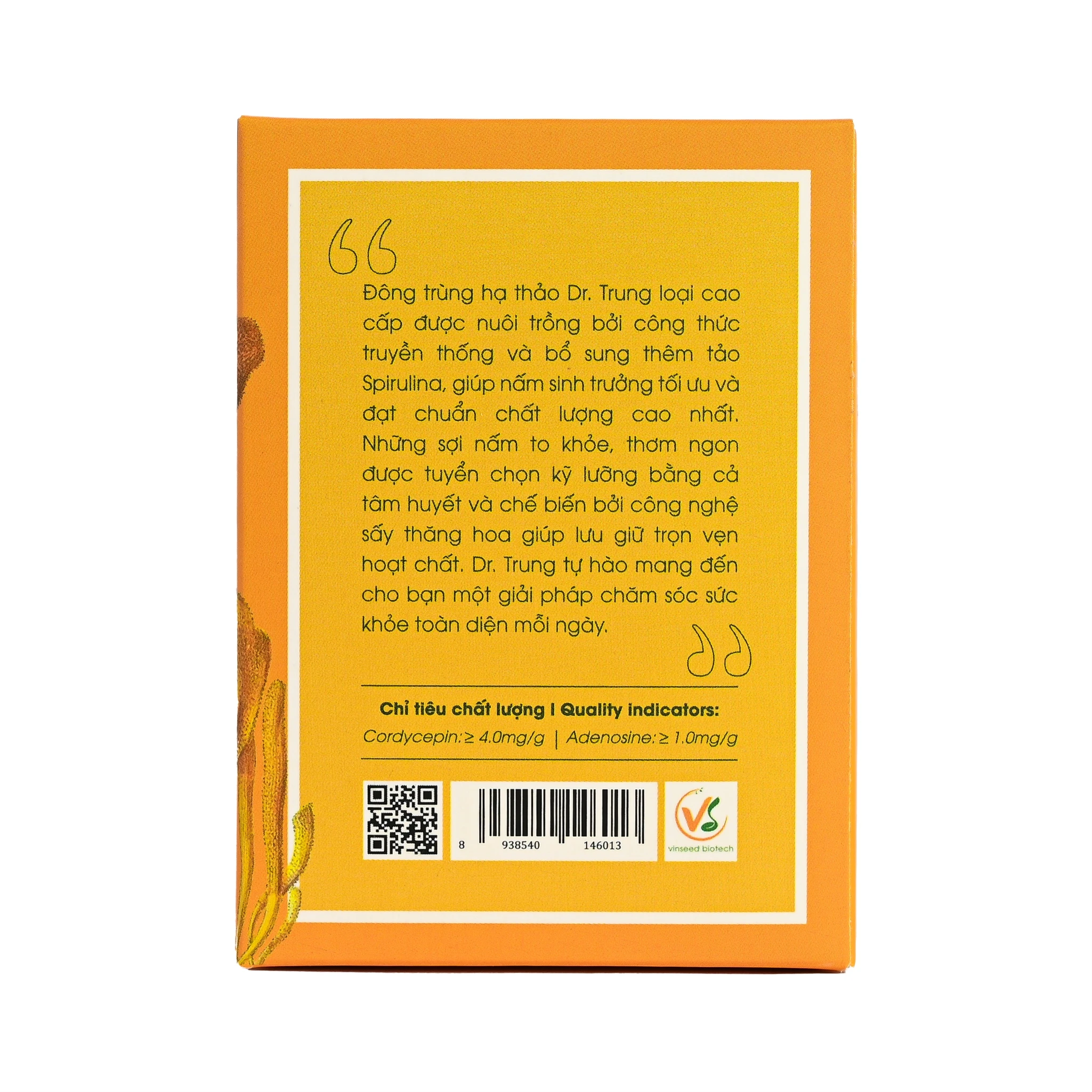 Cordyceps Mushroom Bulk Sale Fungus Cordyceps For Food ISO 22000 2018 Customized Packaging Asia Manufacturer