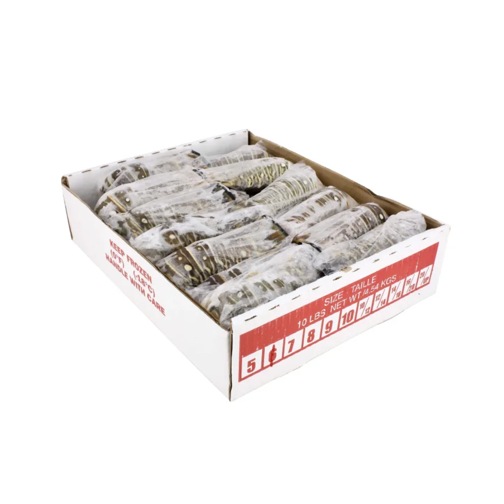 Live Lobsters, Fresh Chilled Lobster, Frozen Lobsters Box Style Packaging frozen lobster tails for sale