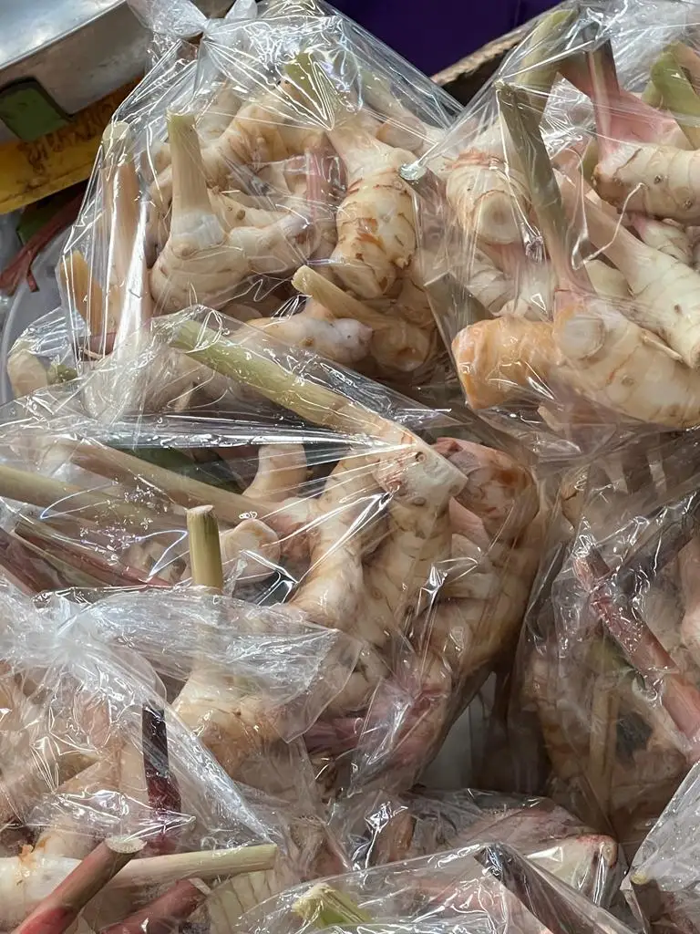 Fresh Galangal From Thailand hight quality Export Grade