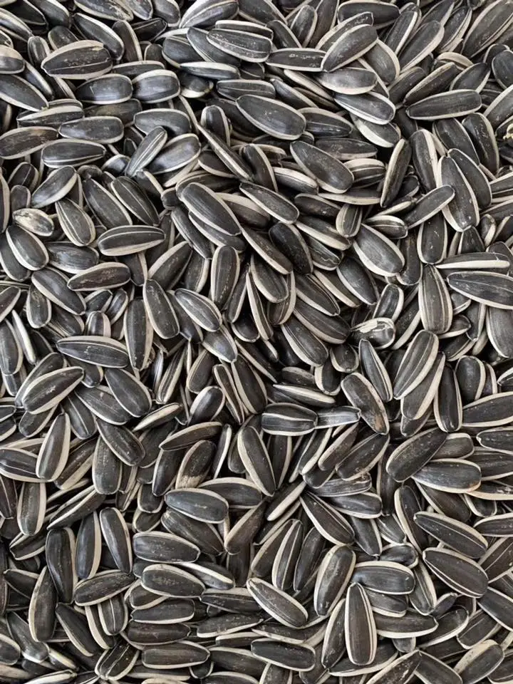 Variety of High Quality Wholesale Black and White Sunflower Seeds Black Sunflower Seed