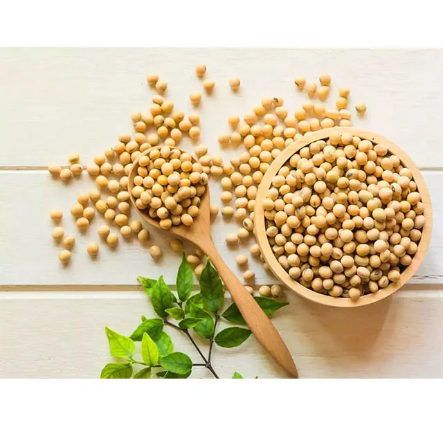 Соевые бобы NON-GMO соевые высокого качества
