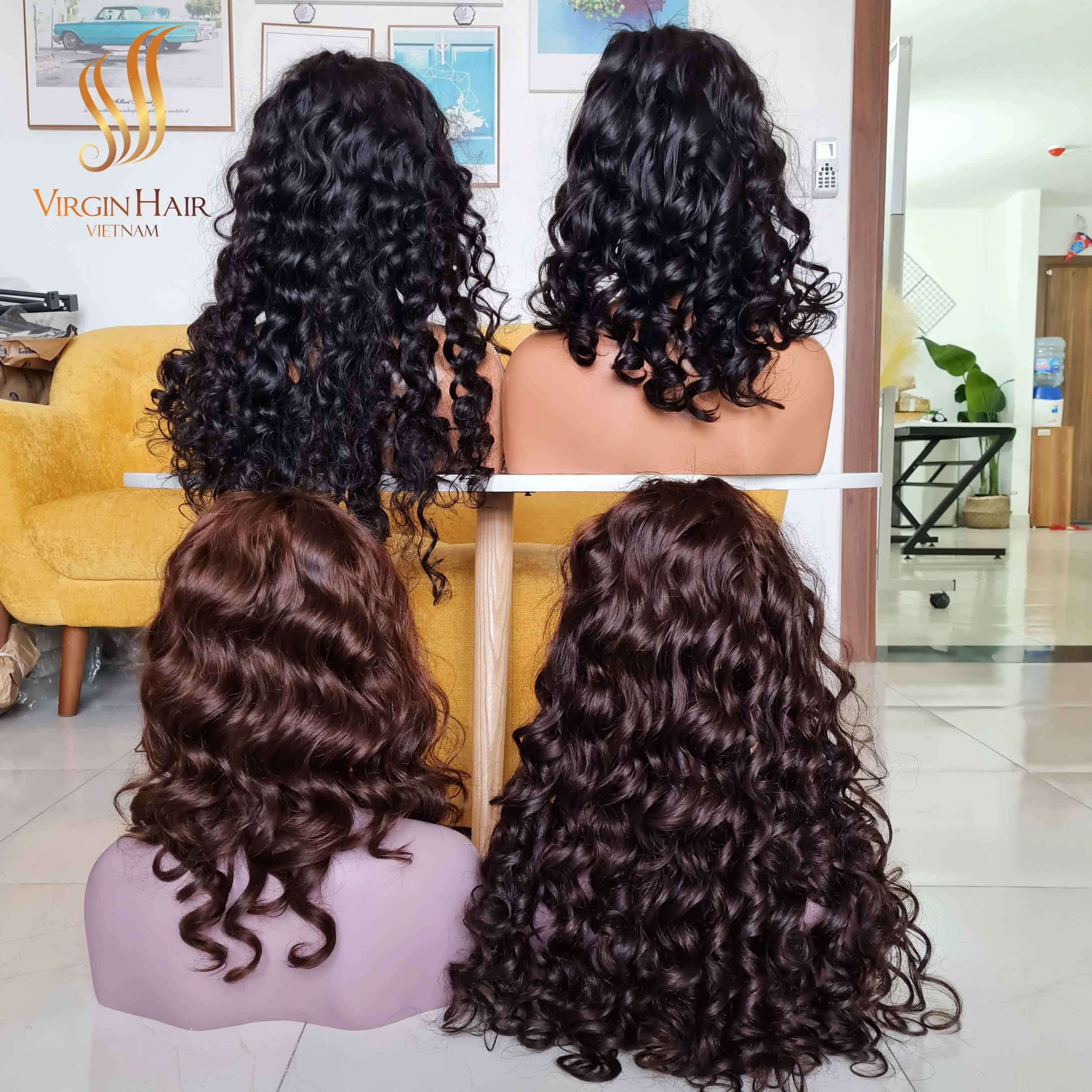 [ Cheap Human Hair Wigs ] Double Drawn Bouncy Curls Human Hair Extension From Virgin hair Vietnam