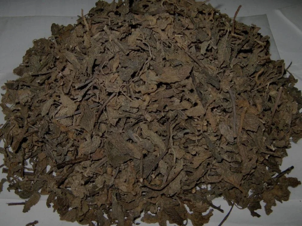 DRIED BLACK GRASS JELLY LEAVES - CONTAINER SHIPPING - WHOLESALER CHEAP PRICE