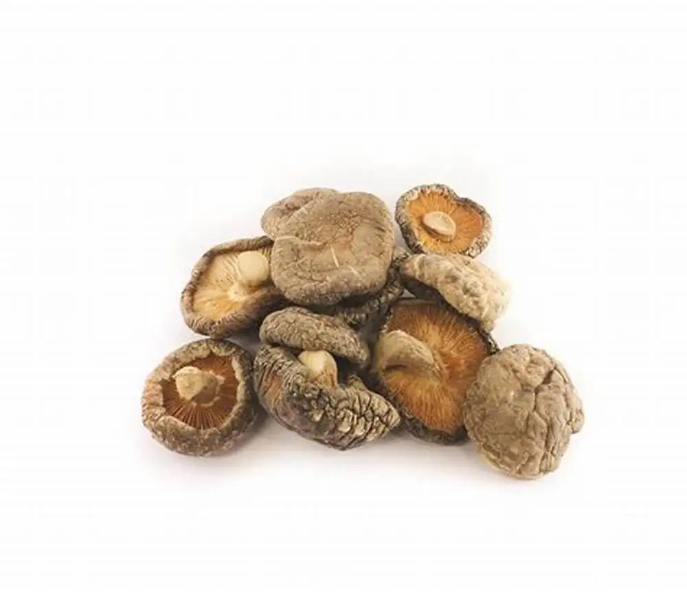 SMOOTH and EARTHY SHIITAKE MUSHROOMS / HANDCRAFTED QUALITY IDEAL for SOUPS & STIR-FRIES MADE in VIETNAM
