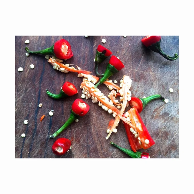 Wholesale Sweet Chili Seeds For Sale In Cheap Price Bulk Quantity Available