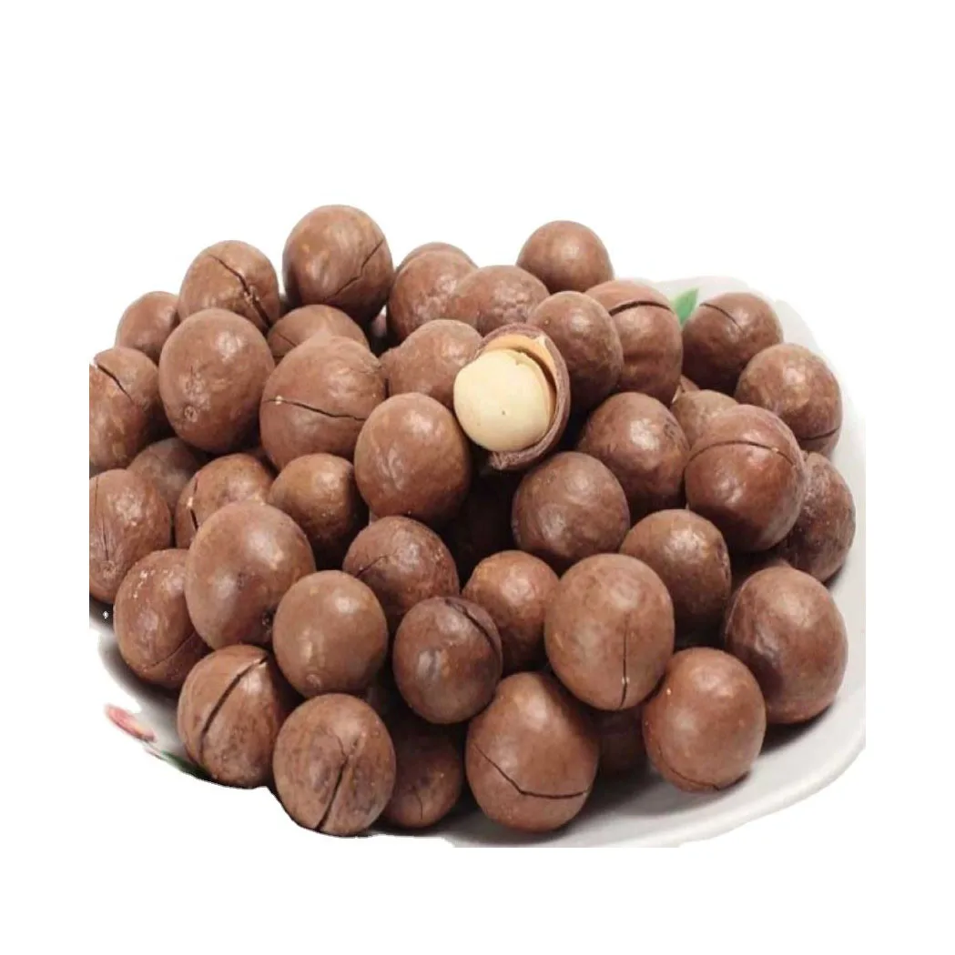 Best price Macadamia Without shell roasted double halves with Medium Size Manufacturing Wholesale Grade A Macca Nuts