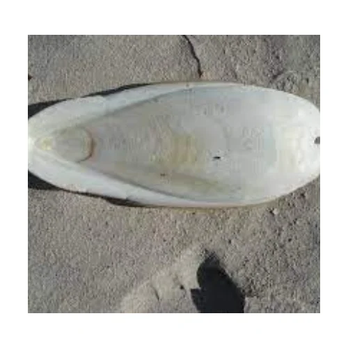 High quality dried cuttlefish bone for birds I Cuttlefish Bones/Blister Cuttlebone for pet toy - Ms.Thi