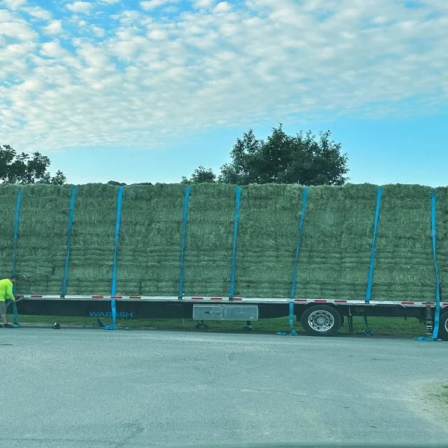 Super High Quality Timothy Hay/Alfalfa Hay Pellets in Bales Best Animal Feeding Stuff for Cattle Horses Made Soybean Packed Bags