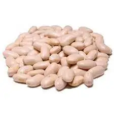 Wholesale Supplier Best Quality white kidney Beans For Sale In Cheap Price