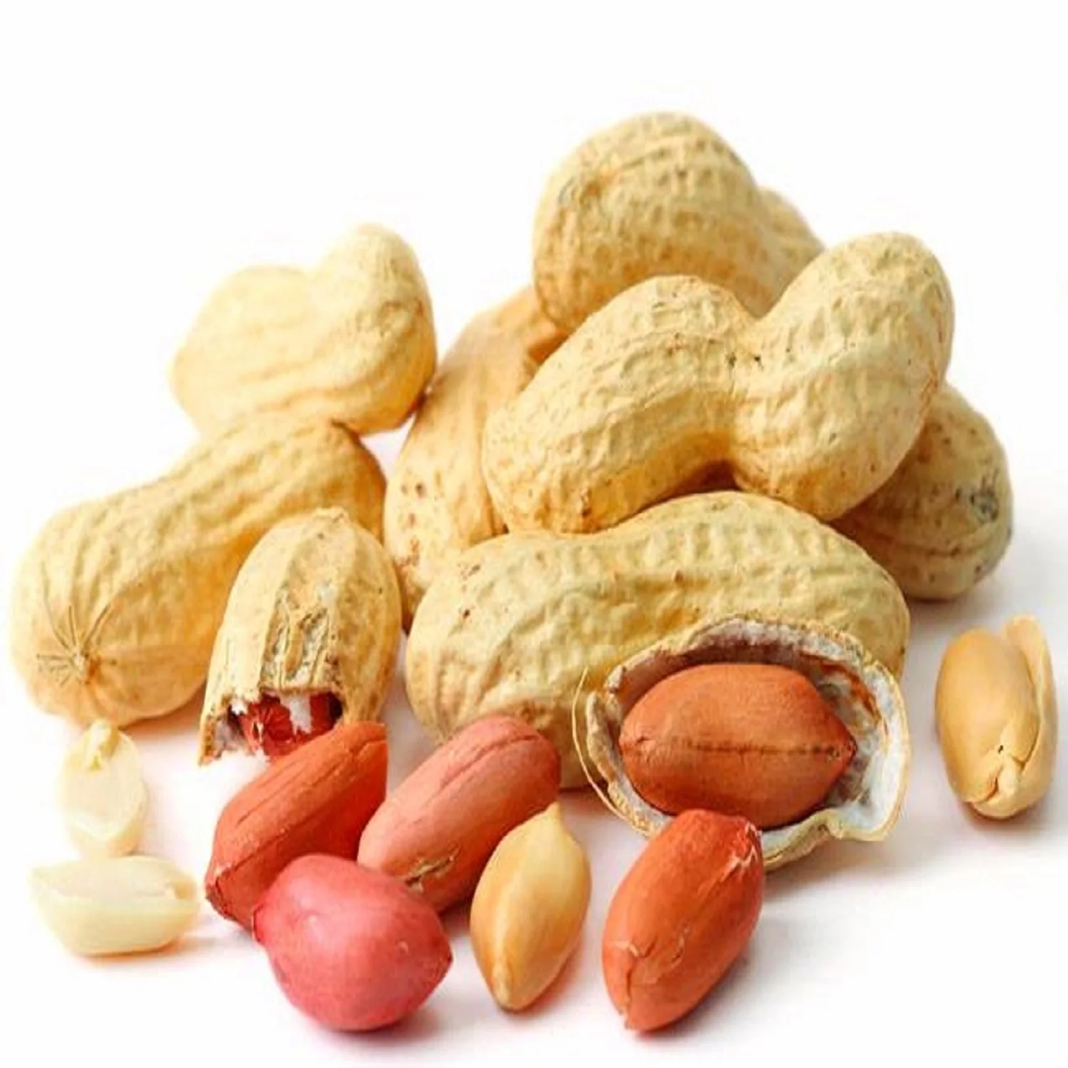 Peanuts Peanuts Hot Sale Wholesale High Quality Freshly Shelled Bulk Organic Peanuts