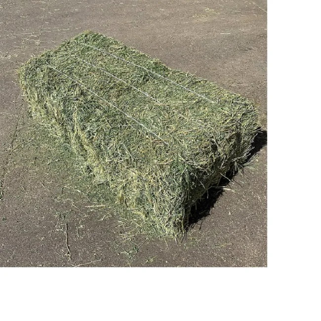 Top Grade Dried Alfalfa Hay for Cattle and Horses Protein-rich Soybean Meal and Corn Pellet in Bulk Bales or Bags