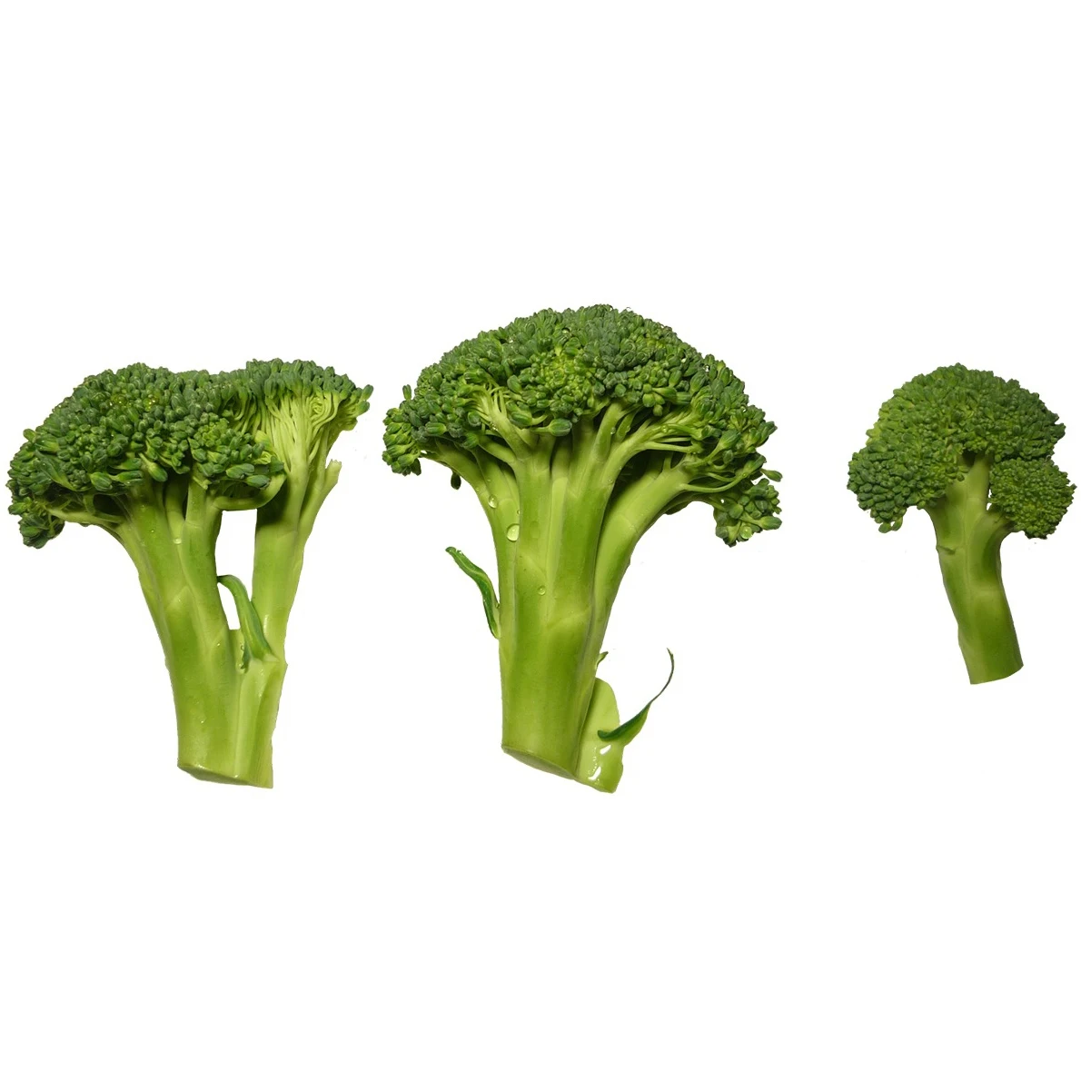 New Season Bulk IQF Frozen Green Fresh Broccoli Low Price Vegetable-IQF Broccoli Vegetables Frozen